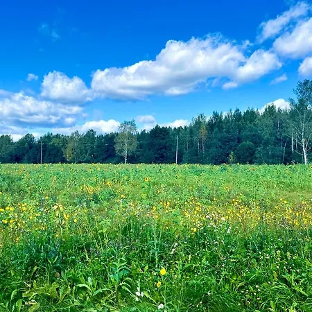 Comfy Flat With Ac, Free Parking&1 Min To Bus Stop Espoo